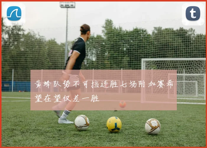 黄蜂队势不可挡连胜七场附加赛希望在望仅差一胜