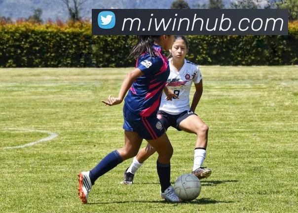 多媒体互动体验